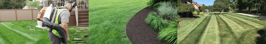 The Hidden Benefits of Mowing Your Lawn at a Higher Level: Protecting Our Waterways